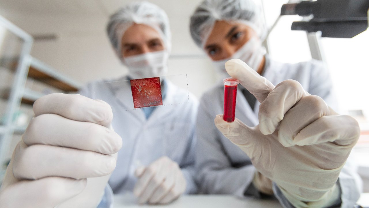 Estudio revela cómo los microplásticos dañan células y sangre